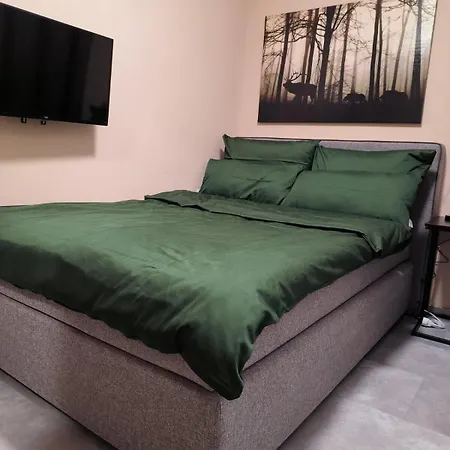 Harz High End Nicholas 4 Sterne Dtv Apartment